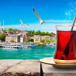 Что нужно сделать туристам по возвращении из Турции